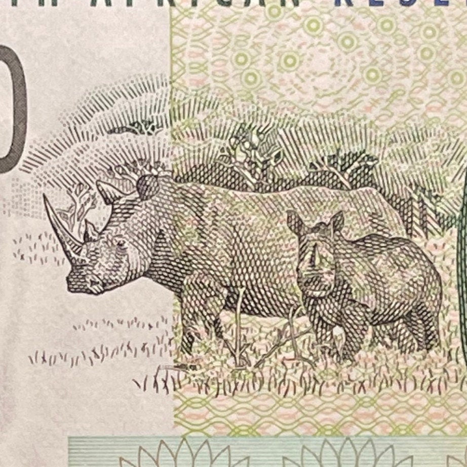 Southern White Rhino Family & Sheep Family 10 Rand South Africa Authentic Banknote Money for Jewelry and Collage