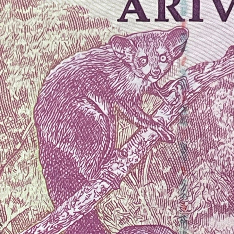 Lemur, Aye-aye, Tortoise, Zebu 1000 Ariary Madagascar Authentic Banknote Money for Jewelry and Collage (Sisal) (Cactus) (Ruffed Lemur) 2004
