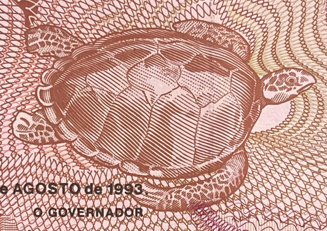 Liberator Rei Amador, Hawksbill Turtle & Waterfall of Praia Pesqueira 500 Dobras São Tomé Authentic Banknote Money (Slave Rebellion) BLM