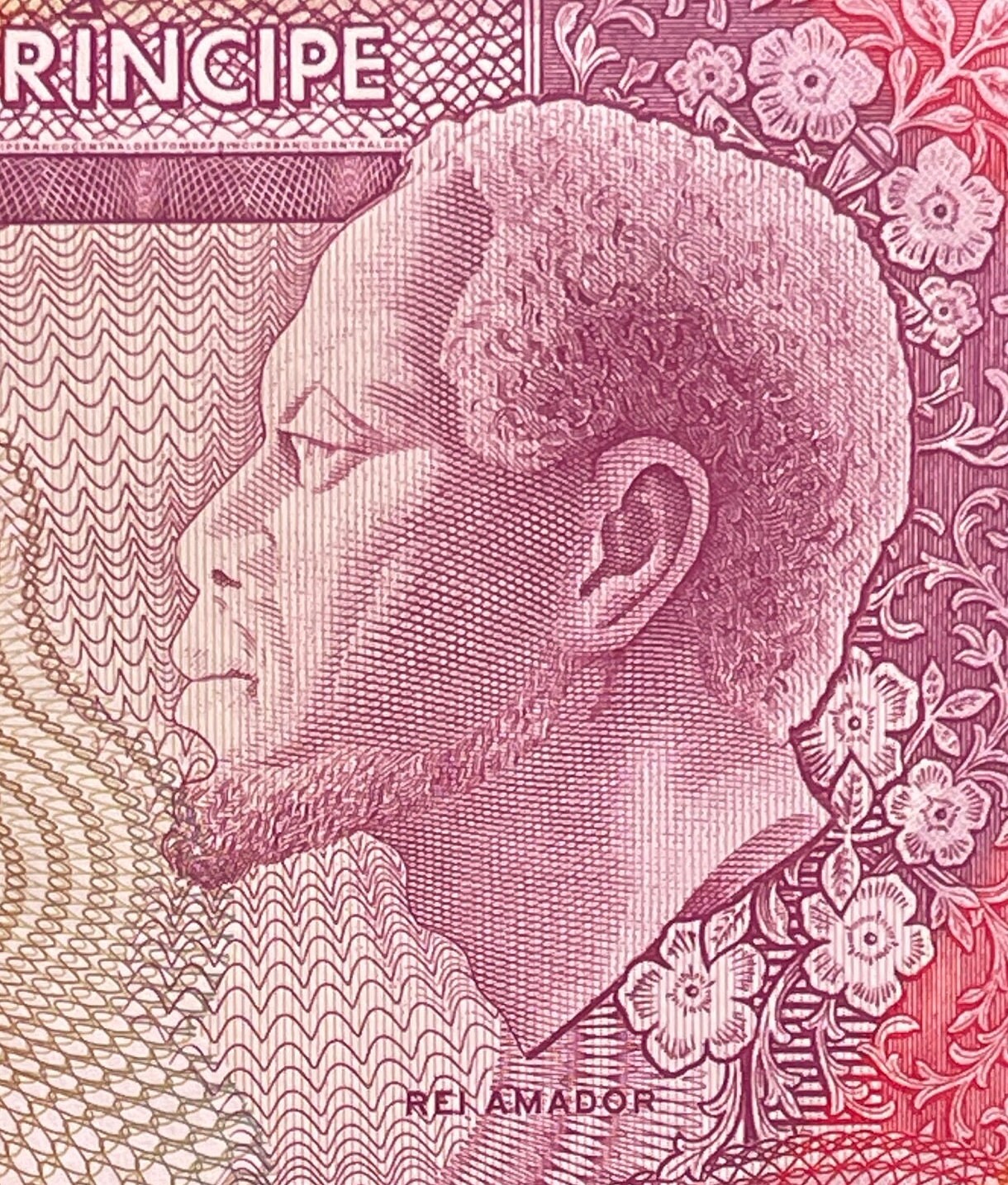 Liberator Rei Amador, Hawksbill Turtle & Waterfall of Praia Pesqueira 500 Dobras São Tomé Authentic Banknote Money (Slave Rebellion) BLM