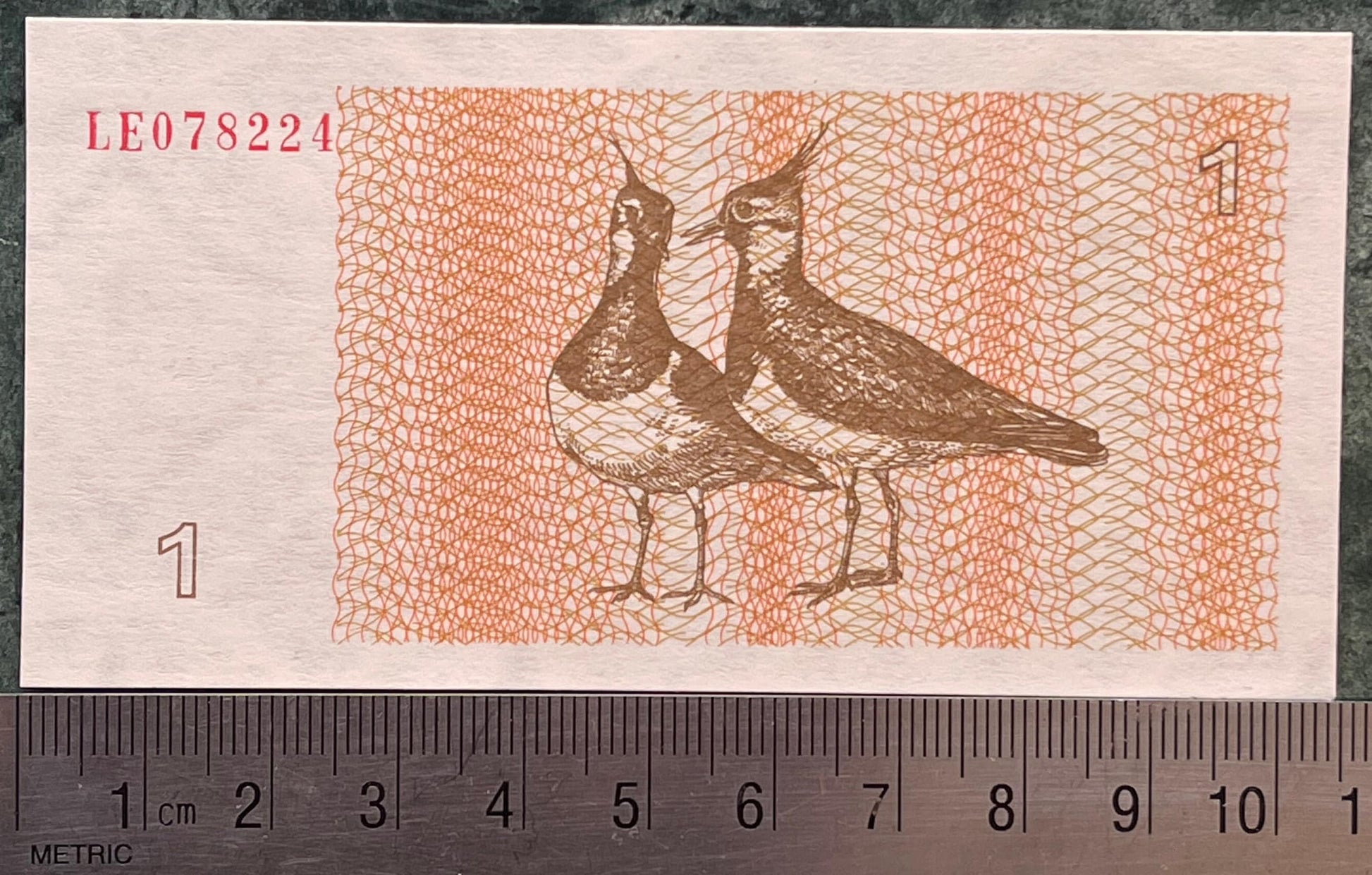 Northern Lapwings & Vytis Knight 1 Talonas Lithuania Authentic Banknote Money for Jewelry and Craft Making (Plover) (Peewit) (Love Birds)