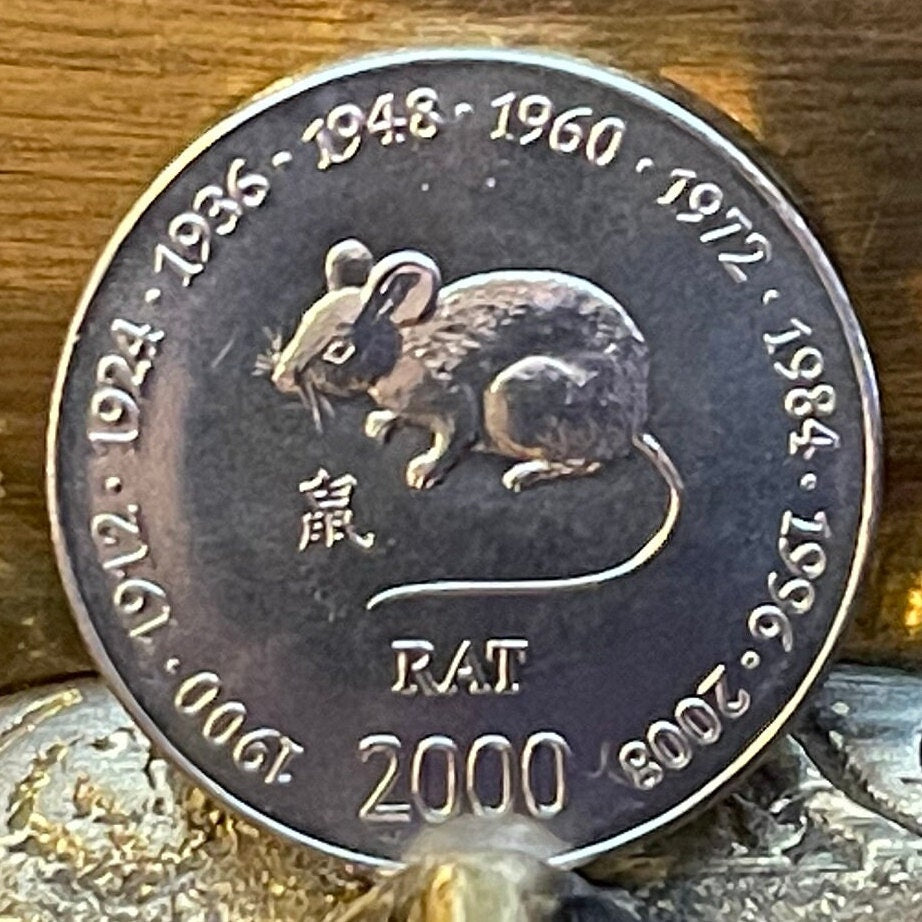 Year of the Rat Chinese Zodiac 10 Shillings Somalia Authentic Coin Money for Jewelry 1900 1912 1924 1936 1948 1960 1972 1984 1996 2008