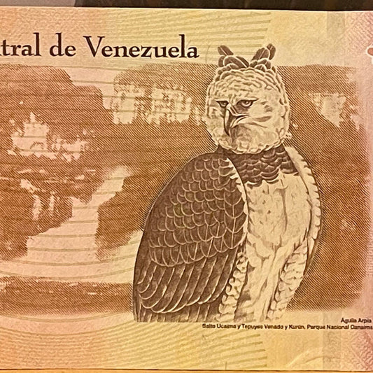 Harpy Eagle & Cacique Guaicaipuro 2000 Bolivares Venezuela Authentic Banknote for Jewelry and Collage (Tepuis) 2016 (Indigenous Resistance)