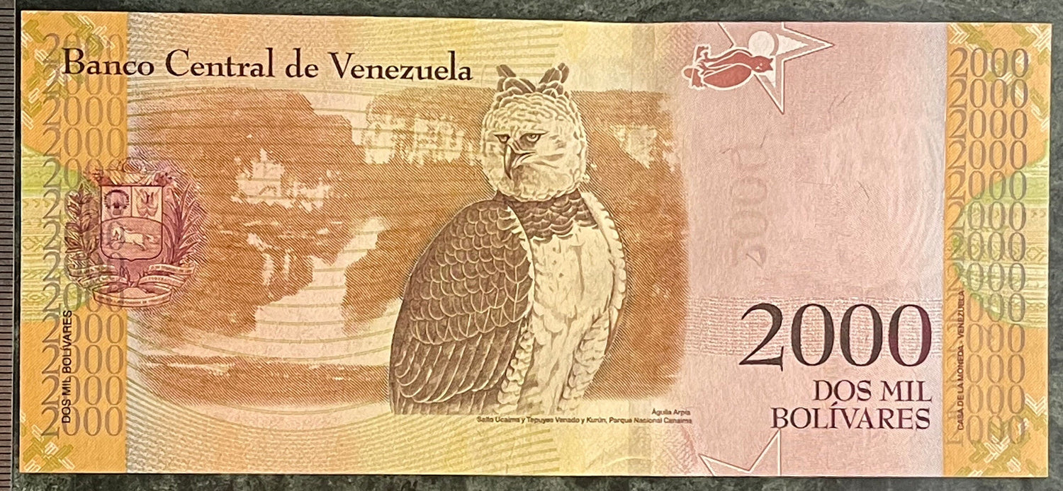 Harpy Eagle & Cacique Guaicaipuro 2000 Bolivares Venezuela Authentic Banknote for Jewelry and Collage (Tepuis) 2016 (Indigenous Resistance)