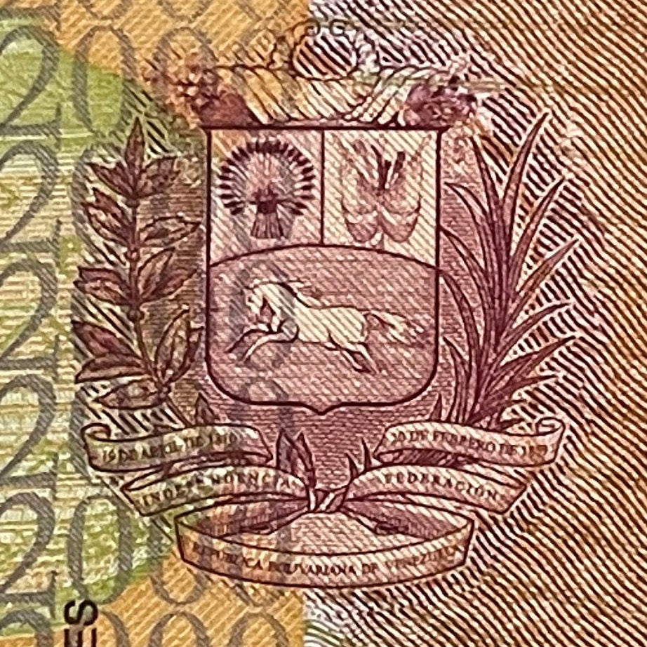 Harpy Eagle & Cacique Guaicaipuro 2000 Bolivares Venezuela Authentic Banknote for Jewelry and Collage (Tepuis) 2016 (Indigenous Resistance)