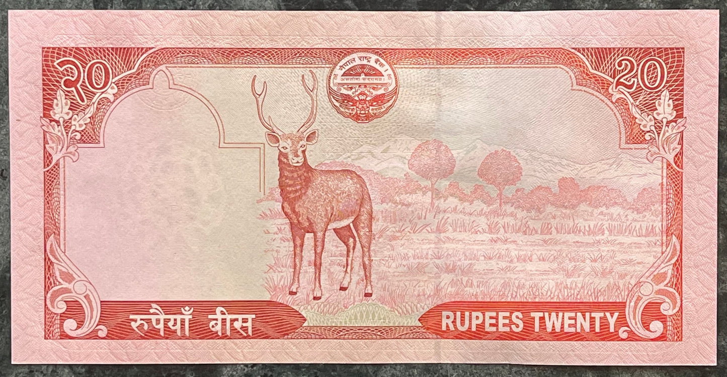 Sambar Deer; Flying Garuda; Krishna Mandir Temple; Mt Everest; Rhododendron 20 Rupees Nepal Authentic Banknote Money for Collage