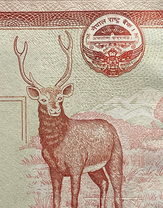 Sambar Deer; Flying Garuda; Krishna Mandir Temple; Mt Everest; Rhododendron 20 Rupees Nepal Authentic Banknote Money for Collage