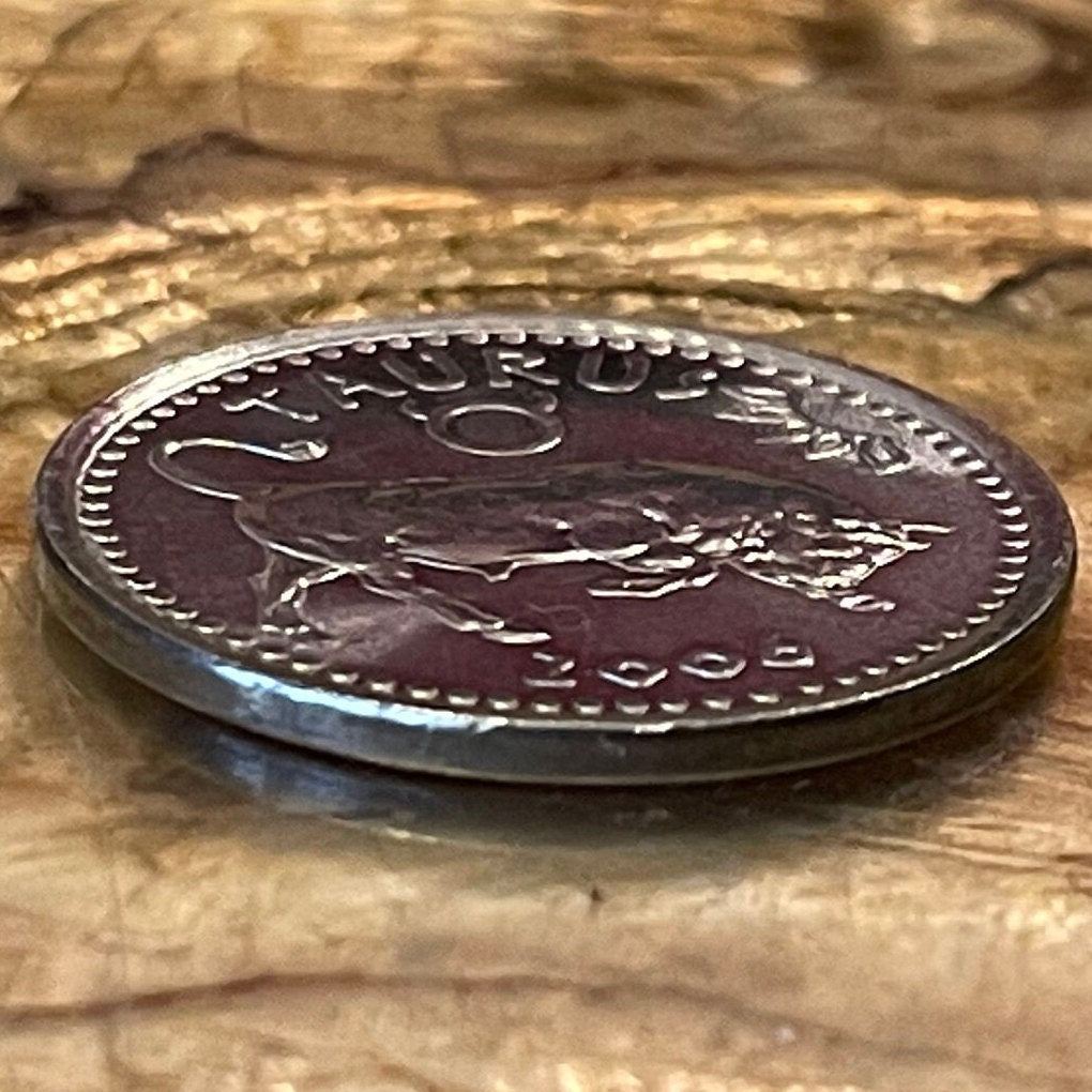 Taurus the Bull 10 Shillings Somaliland Authentic Coin Money for Jewelry and Craft Making (Zodiac Series) (Astrology) Bull of Heaven