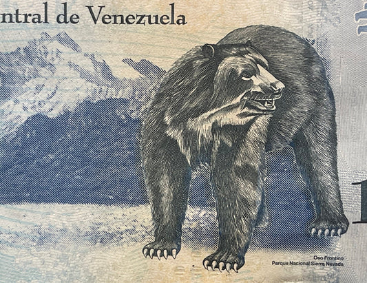Andean Spectacled Bear & Philosopher Simón Rodríguez 10,000 Bolívares Venezuela Authentic Banknote Money for Jewelry and Collage (Educator)