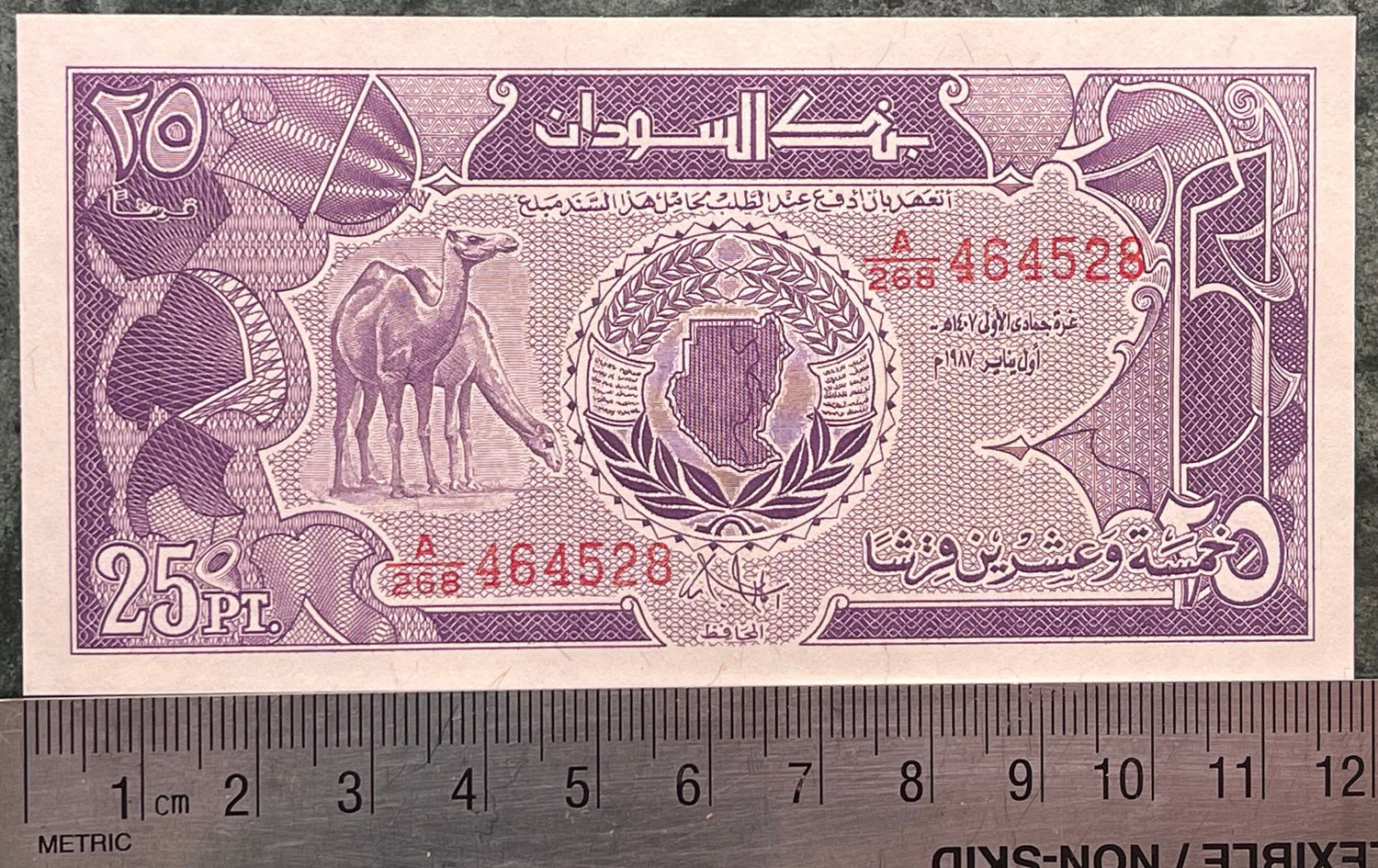 Dromedary Camels, Sudan Map & Central Bank 25 Piastres Authentic Banknote Money for Jewelry and Collage (Arabian)