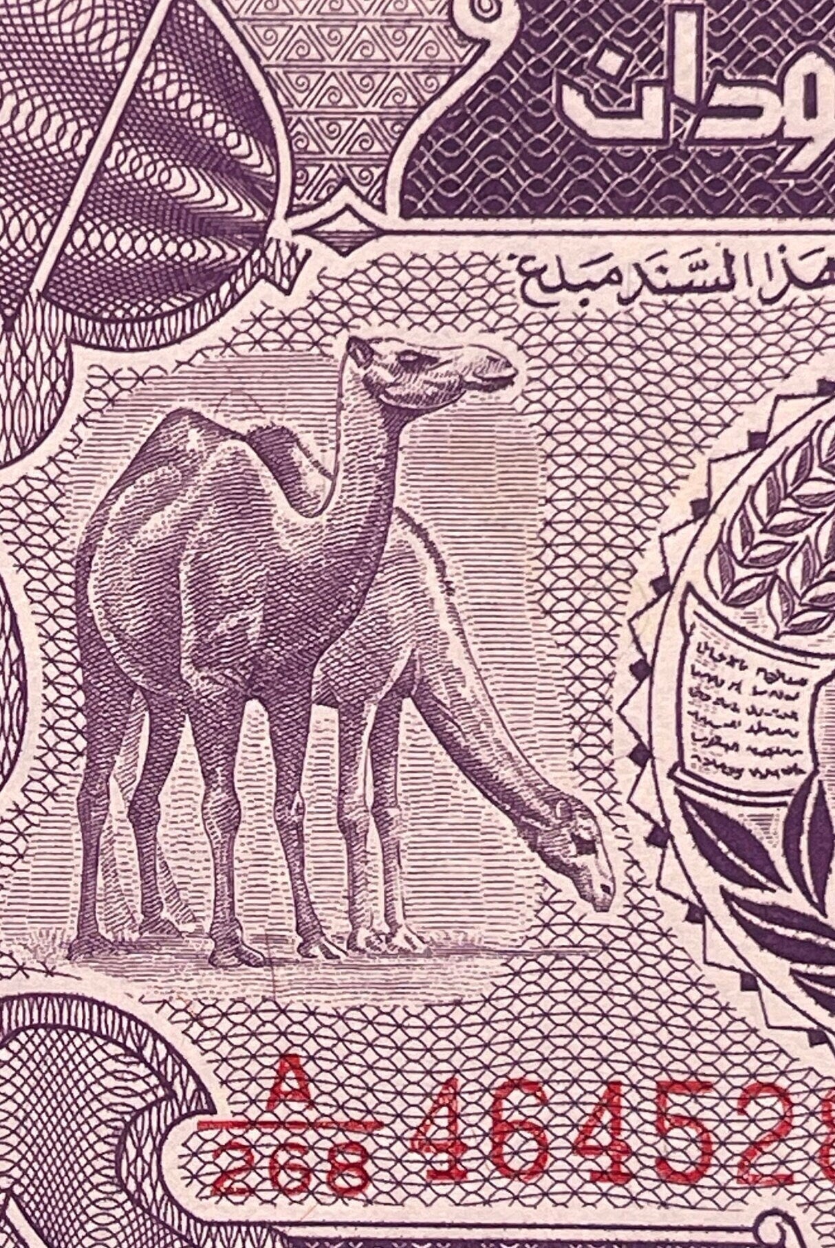 Dromedary Camels, Sudan Map & Central Bank 25 Piastres Authentic Banknote Money for Jewelry and Collage (Arabian)