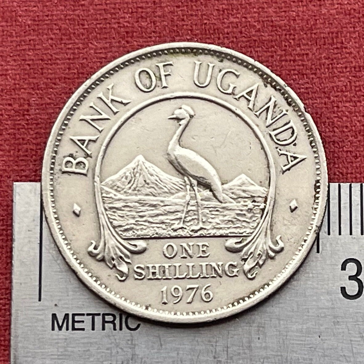 Mountains of the Moon & Crested Crane 1 Shilling Uganda Authentic Coin Money for Jewelry (Rwenzori Mountains) (Nile) (Grateful Dead)