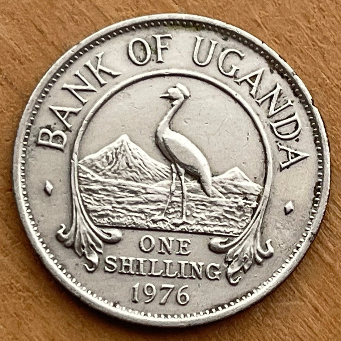 Mountains of the Moon & Crested Crane 1 Shilling Uganda Authentic Coin Money for Jewelry (Rwenzori Mountains) (Nile) (Grateful Dead)