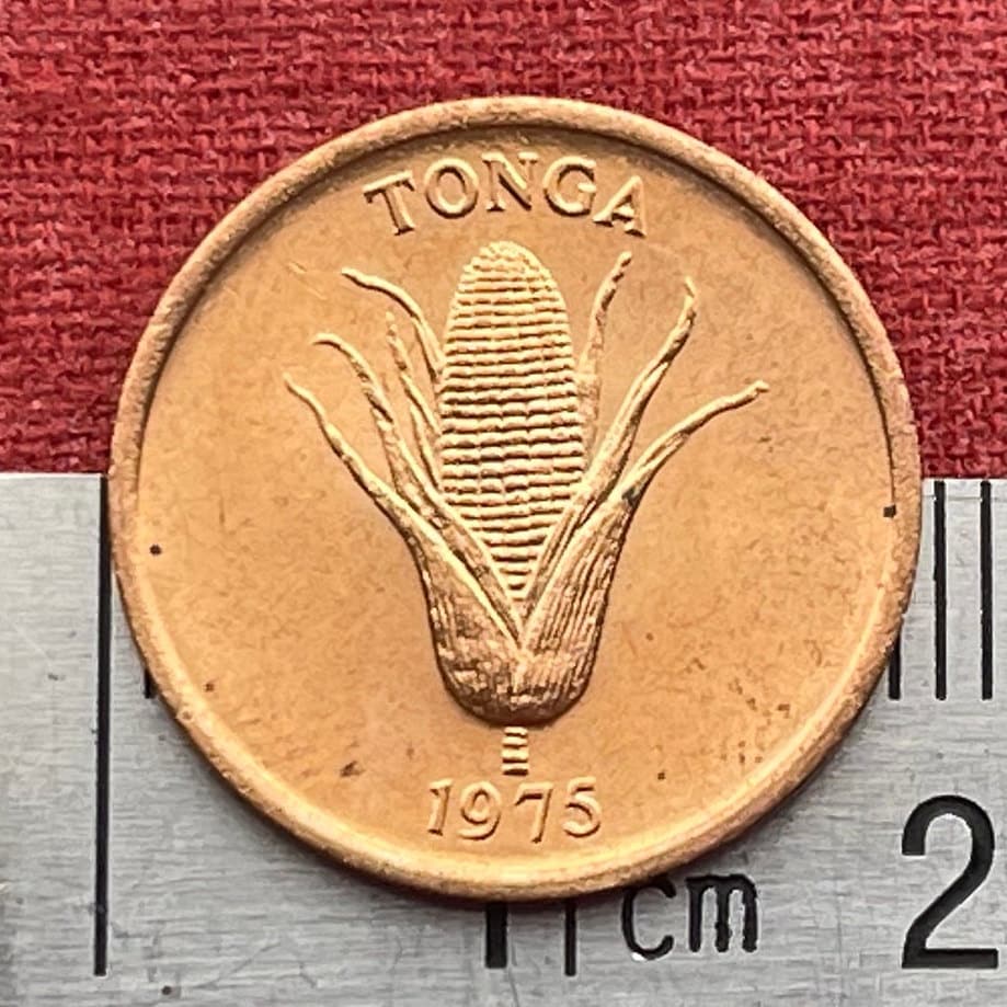 Sow Pig & Ear of Corn 1 Seniti Tonga Authentic Coin Charm for Jewelry and Craft Making (Grow More Food) Fertility Penny (Bacon Ham Pork)