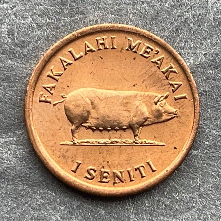 Sow Pig & Ear of Corn 1 Seniti Tonga Authentic Coin Charm for Jewelry and Craft Making (Grow More Food) Fertility Penny (Bacon Ham Pork)