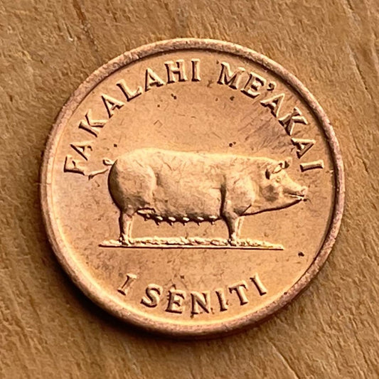 Sow Pig & Ear of Corn 1 Seniti Tonga Authentic Coin Charm for Jewelry and Craft Making (Grow More Food) Fertility Penny (Bacon Ham Pork)