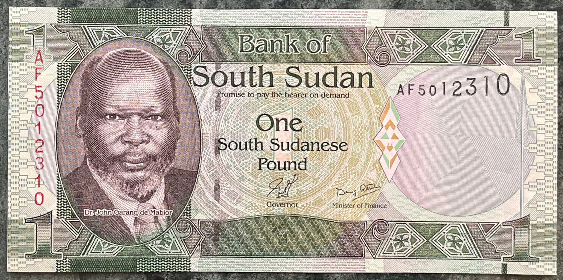 Nubian Giraffes & Revolutionary Leader Dr. John Garang 1 Pound South Sudan Authentic Banknote Money for Jewelry and Collage (Economist)