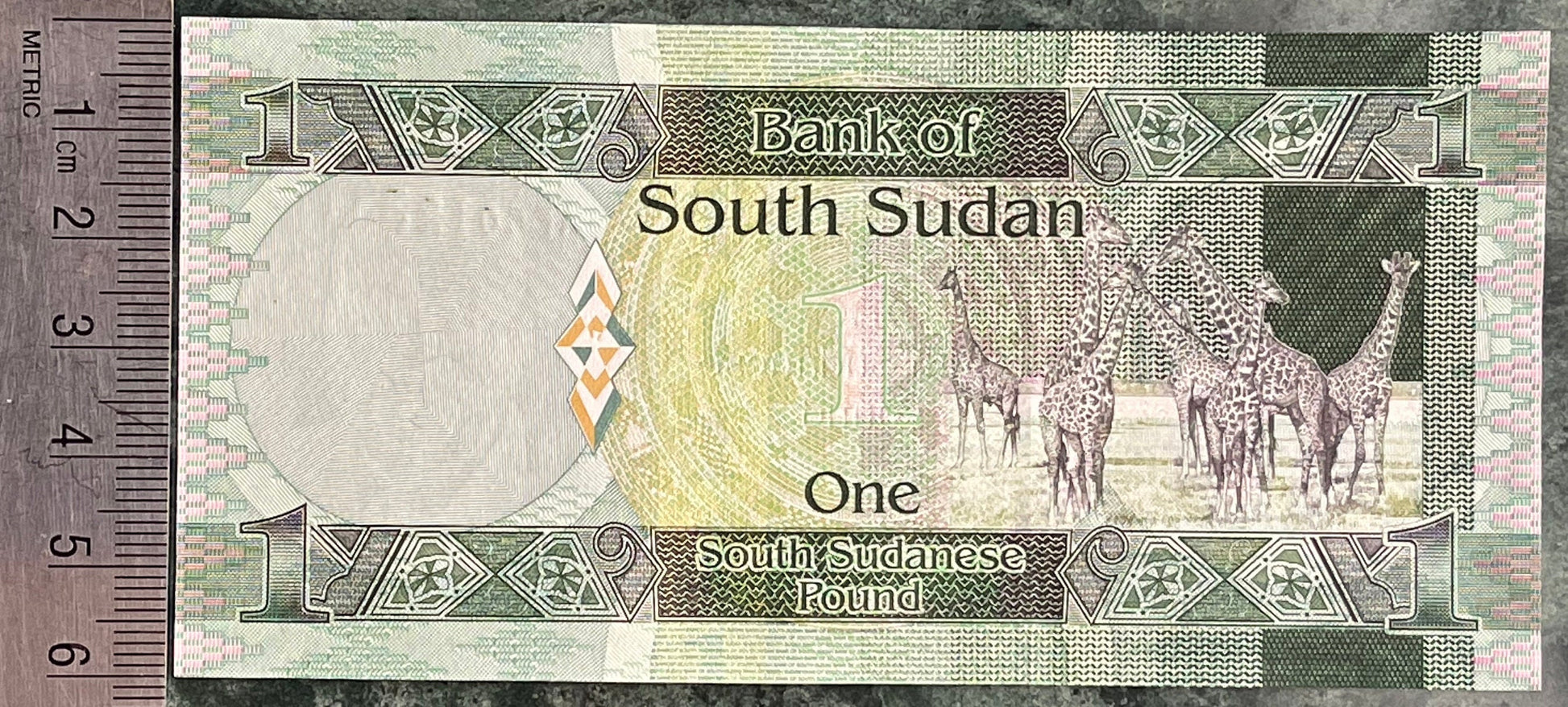 Nubian Giraffes & Revolutionary Leader Dr. John Garang 1 Pound South Sudan Authentic Banknote Money for Jewelry and Collage (Economist)
