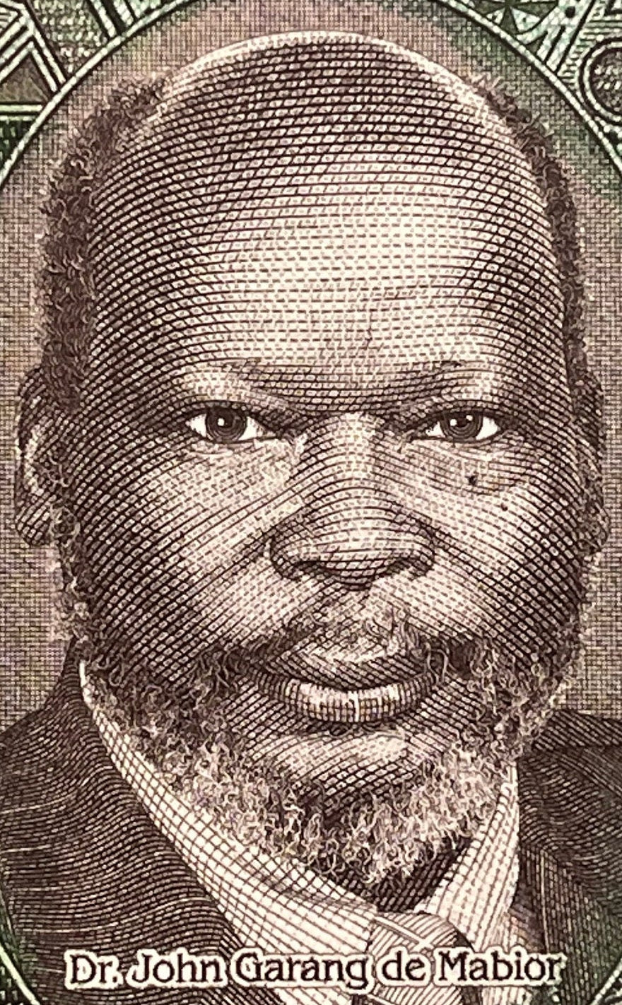 Nubian Giraffes & Revolutionary Leader Dr. John Garang 1 Pound South Sudan Authentic Banknote Money for Jewelry and Collage (Economist)