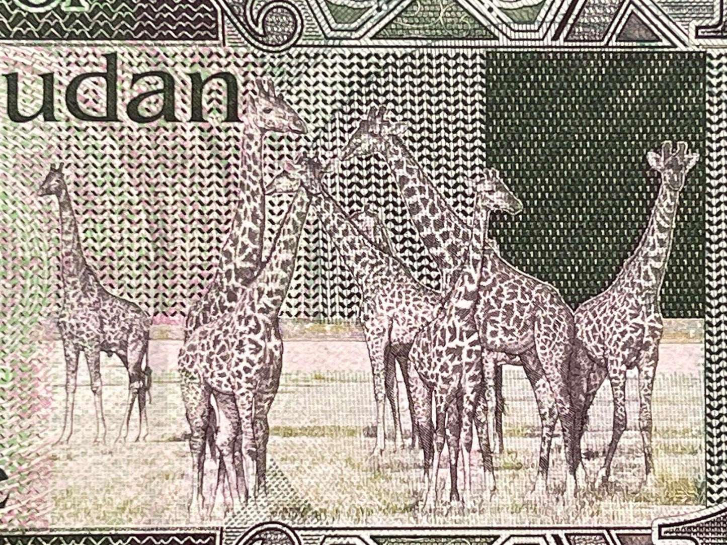 Nubian Giraffes & Revolutionary Leader Dr. John Garang 1 Pound South Sudan Authentic Banknote Money for Jewelry and Collage (Economist)