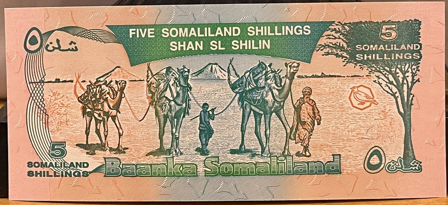 Nomad Camel Caravan, Kudu & Goodrika Supreme Court Building 5 Shillings Somaliland Authentic Banknote Money for Collage (Dromedary)