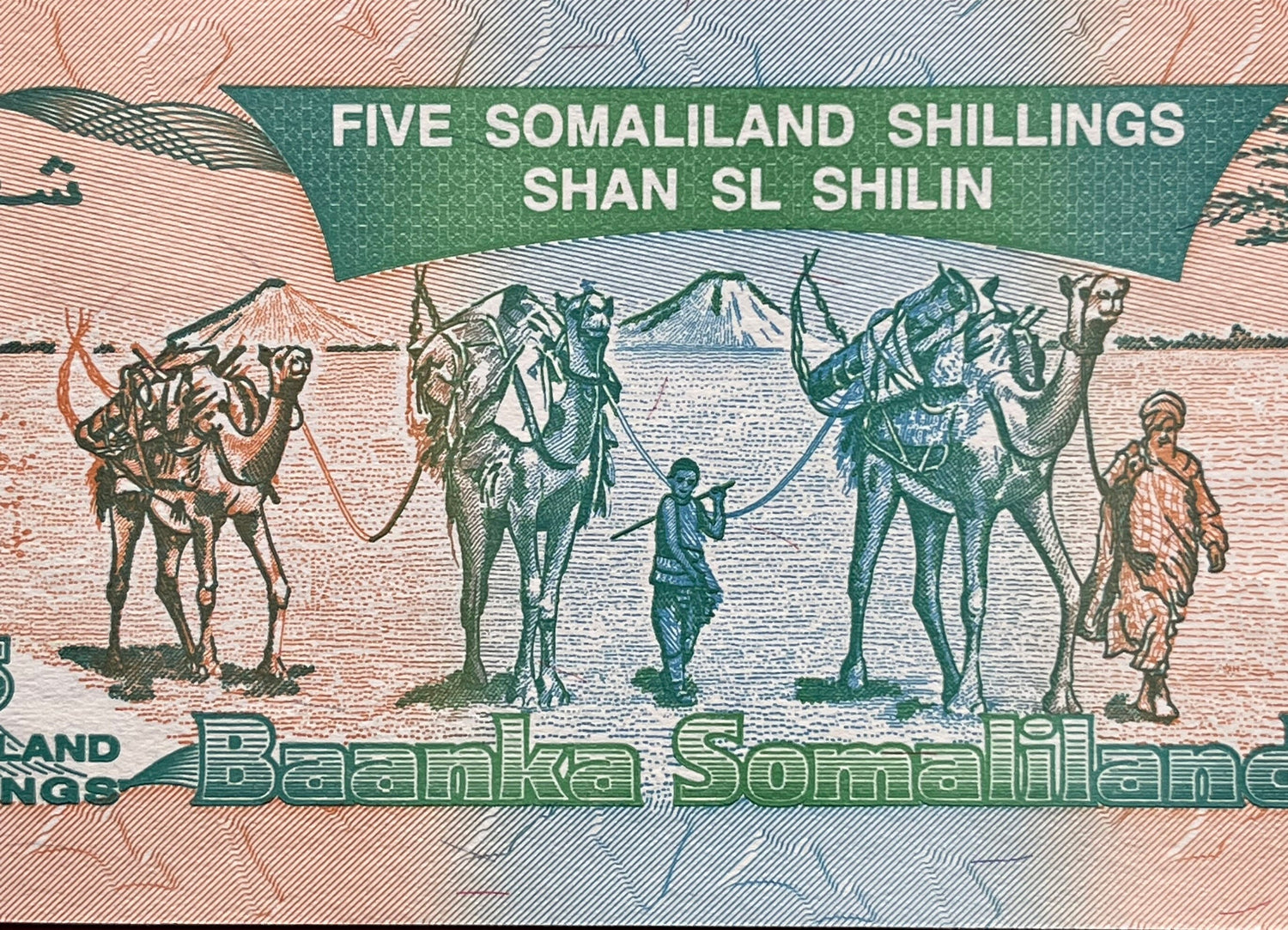 Nomad Camel Caravan, Kudu & Goodrika Supreme Court Building 5 Shillings Somaliland Authentic Banknote Money for Collage (Dromedary)