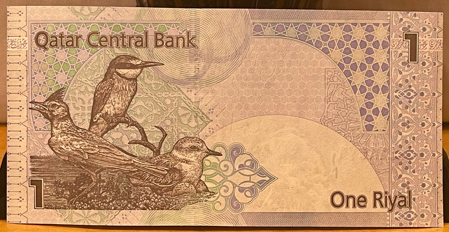 Lark, Bee-Eater, Plover & Sailing Dhow 1 Riyal Qatar Authentic Banknote Money for Jewelry and Collage (Al Jazeera) (Native Birds)