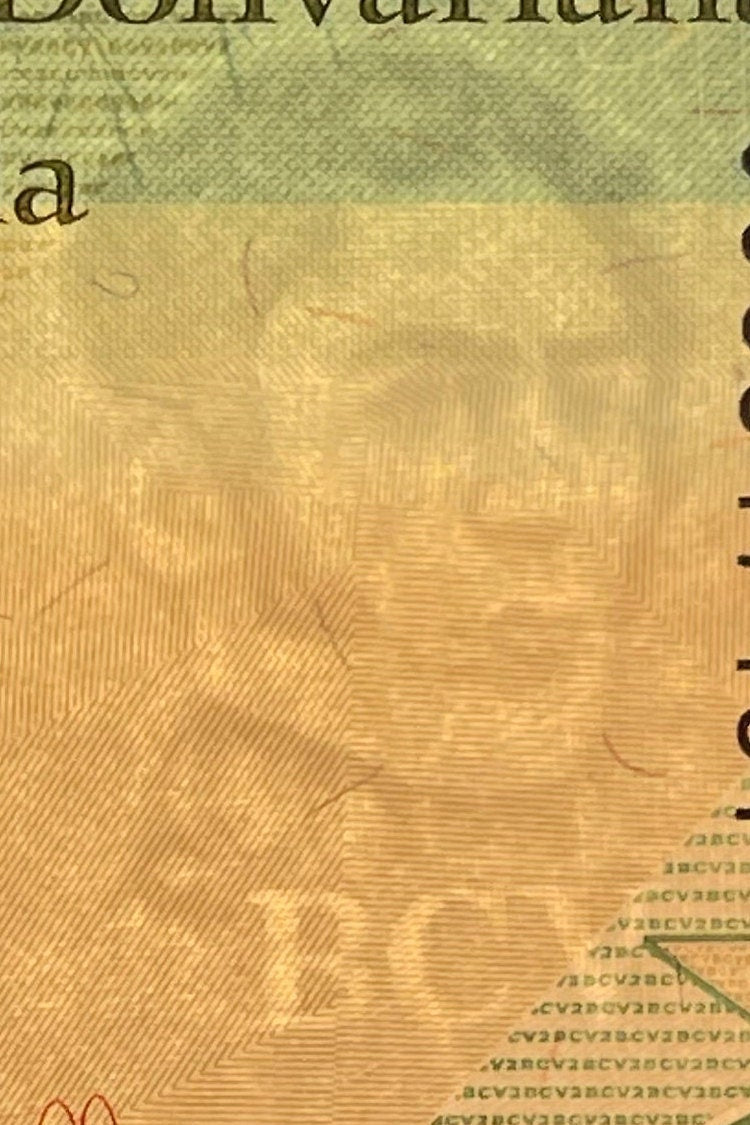 Doña Ignacia Josefa Camejo & Yellow-Crowned Parrot 2 Bolívares Venezuela Authentic Banknote Money for Collage (Revolutionary) (Lady Ardent)