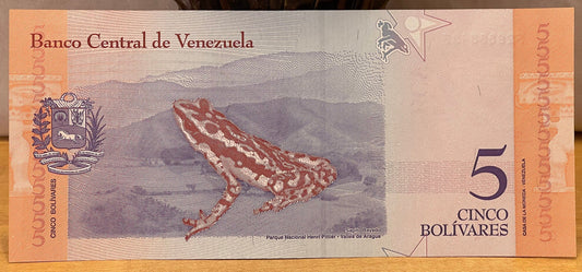 Veragua Stubfoot Toad & Revolutionary Martyr Jose Felix Ribas 5 Bolívares Venezuela Authentic Banknote Money for Collage (Harlequin Frog)