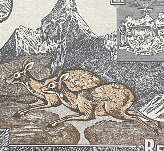 Shiva and Parvati as Himalayan Musk Deer, Pashupatinath Temple 1 Rupee Nepal Authentic Banknote Money for Collage (Ama Dablam) (Nandi Bull)
