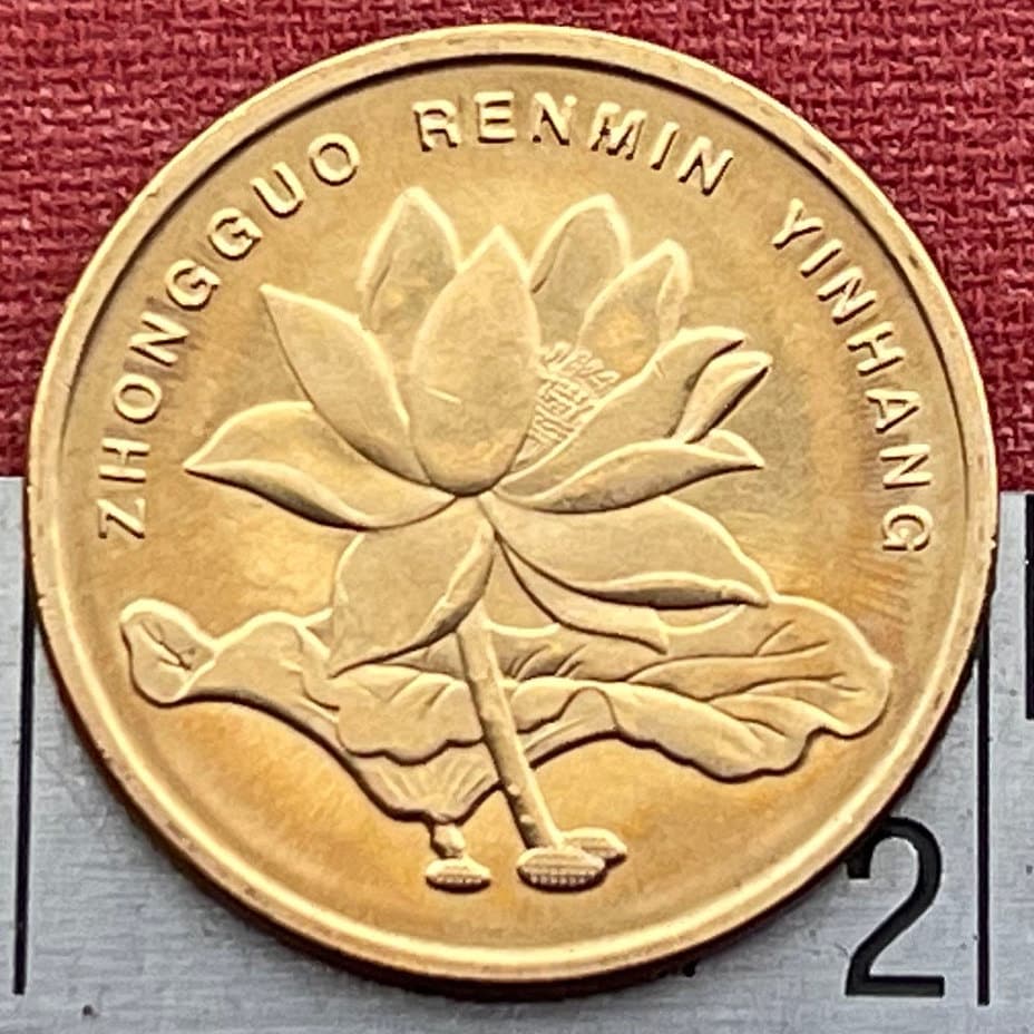 Lotus Blossom 5 Jiao China Authentic Coin Money for Jewelry and Craft Making (Enlightenment)