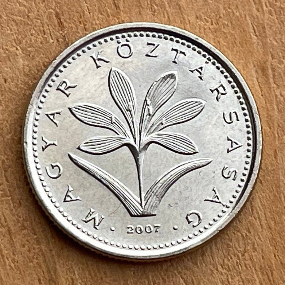 Hungarian Crocus 2 Forint Hungary Authentic Coin Money for Jewelry and Craft Making (Colchicum Hungaricum Janka)