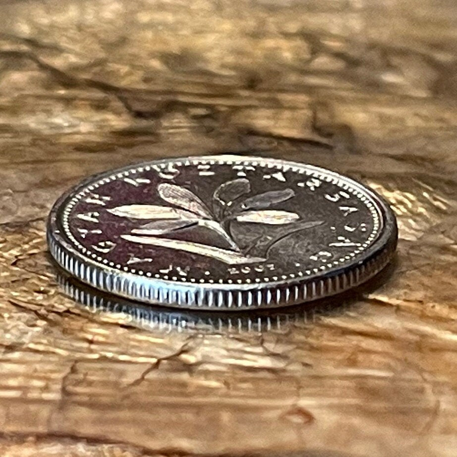 Hungarian Crocus 2 Forint Hungary Authentic Coin Money for Jewelry and Craft Making (Colchicum Hungaricum Janka)