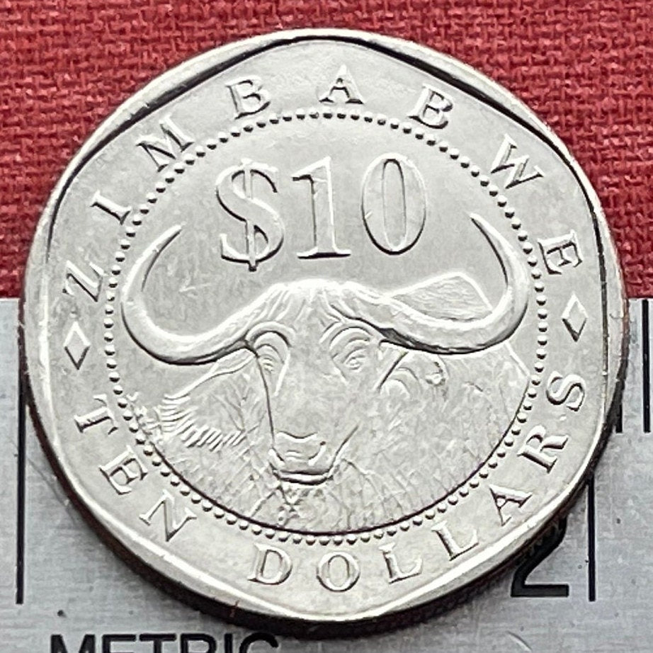 Cape Buffalo & Great Zimbabwe Bird 10 Dollars Zimbabwe Authentic Coin Money for Jewelry and Craft Making (Wild African Buffalo) (Shona)