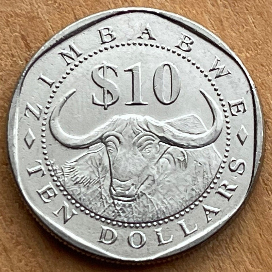 Cape Buffalo & Great Zimbabwe Bird 10 Dollars Zimbabwe Authentic Coin Money for Jewelry and Craft Making (Wild African Buffalo) (Shona)