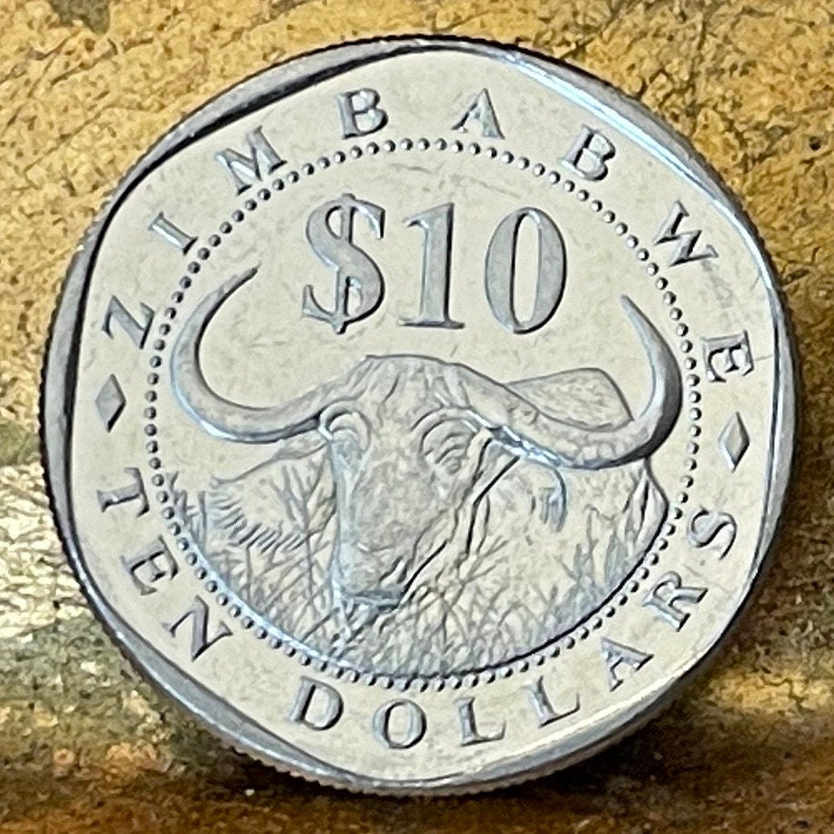 Cape Buffalo & Great Zimbabwe Bird 10 Dollars Zimbabwe Authentic Coin Money for Jewelry and Craft Making (Wild African Buffalo) (Shona)