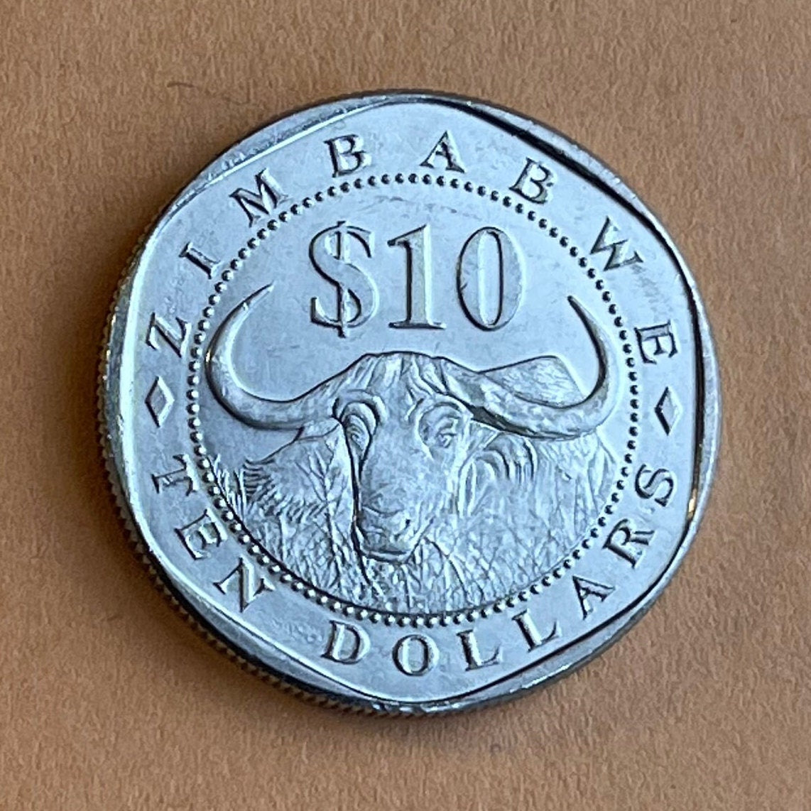 Cape Buffalo & Great Zimbabwe Bird 10 Dollars Zimbabwe Authentic Coin Money for Jewelry and Craft Making (Wild African Buffalo) (Shona)