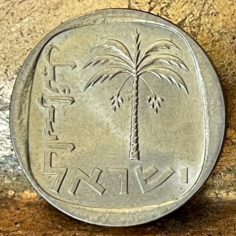 Date Palm 10 Agorot Israel Authentic Coin Money for Jewelry and Craft Making
