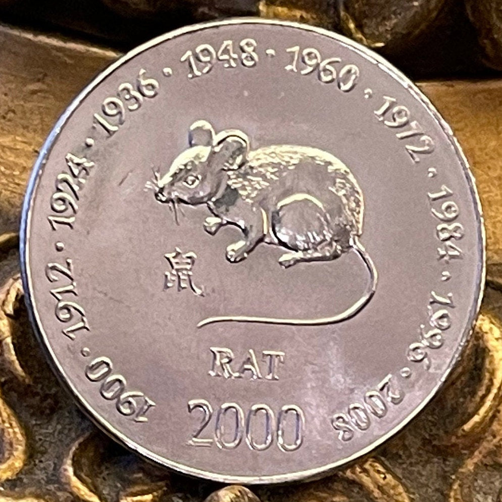 Year of the Rat Chinese Zodiac 10 Shillings Somalia Authentic Coin Money for Jewelry 1900 1912 1924 1936 1948 1960 1972 1984 1996 2008