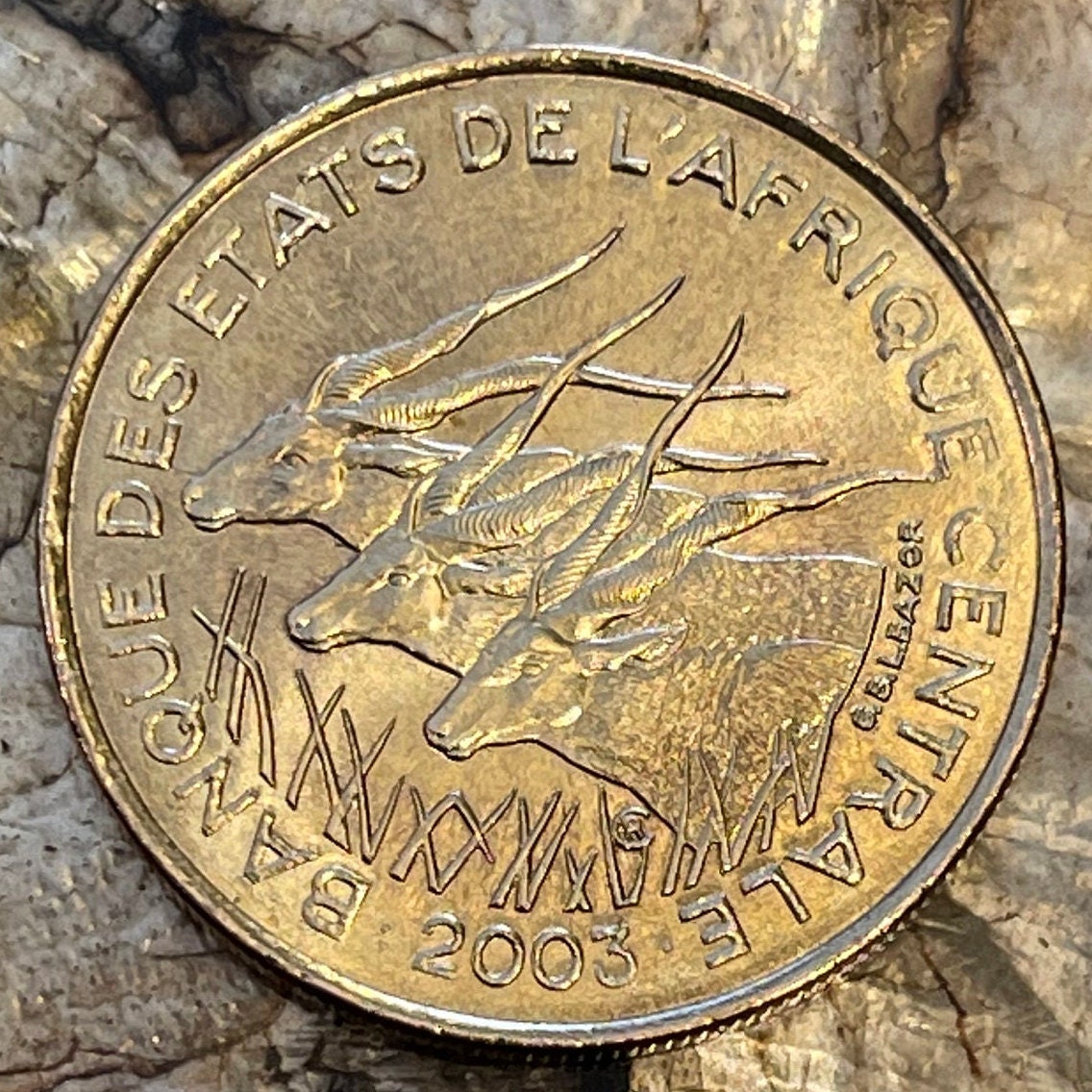Giant Elands 25 Francs Central African States Authentic Coin Money for Jewelry and Craft Making (Lord Derby Eland) 2003