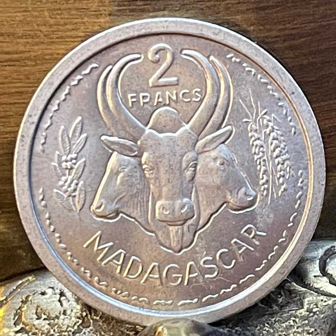 Three Zebu & Marianne in Winged Phrygian Cap 2 Francs Madagascar Authentic Coin Money for Jewelry and Craft Making (Omby) 1948
