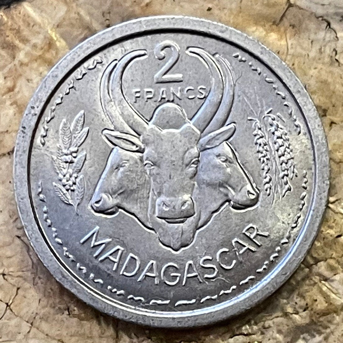 Three Zebu & Marianne in Winged Phrygian Cap 2 Francs Madagascar Authentic Coin Money for Jewelry and Craft Making (Omby) 1948
