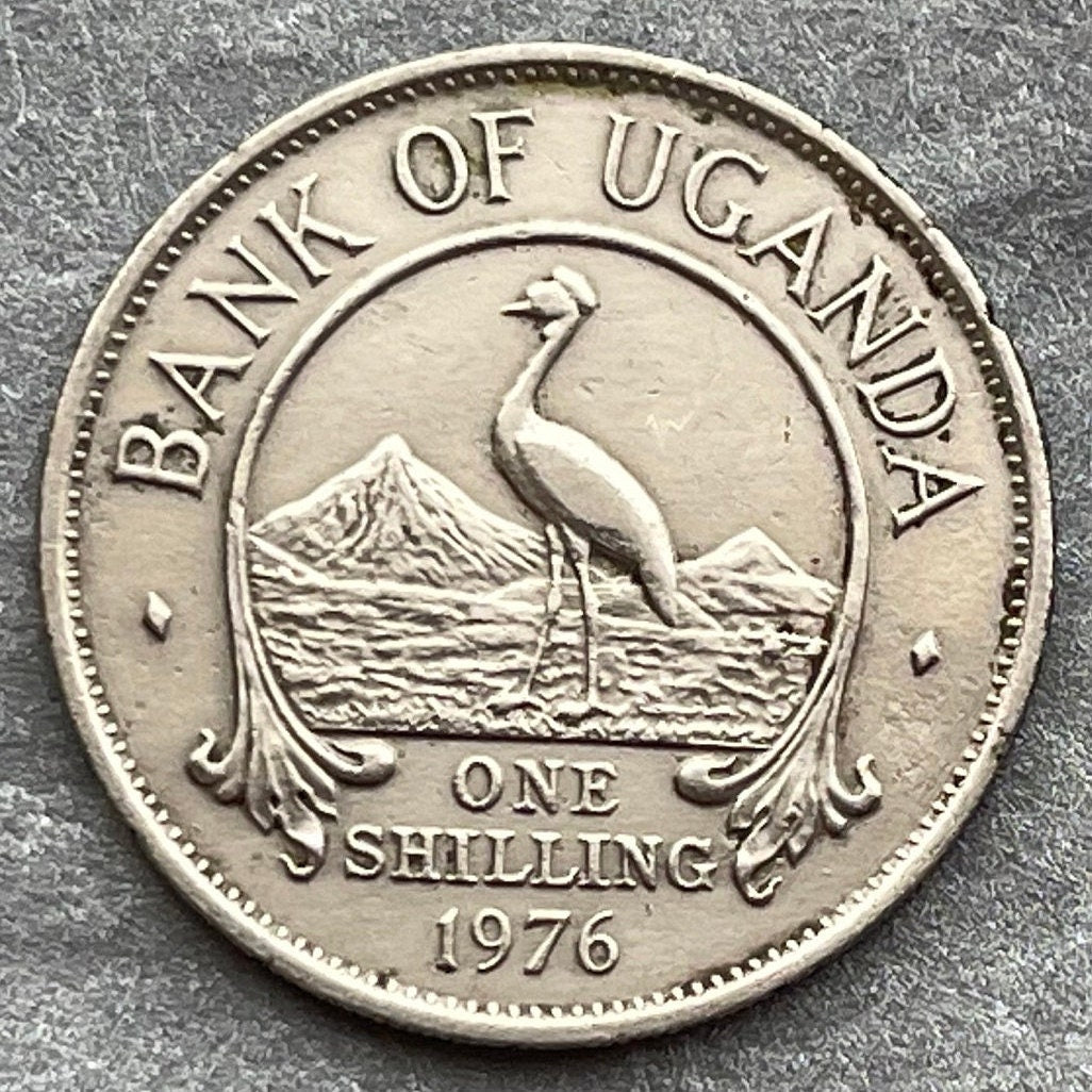 Mountains of the Moon & Crested Crane 1 Shilling Uganda Authentic Coin Money for Jewelry (Rwenzori Mountains) (Nile) (Grateful Dead)