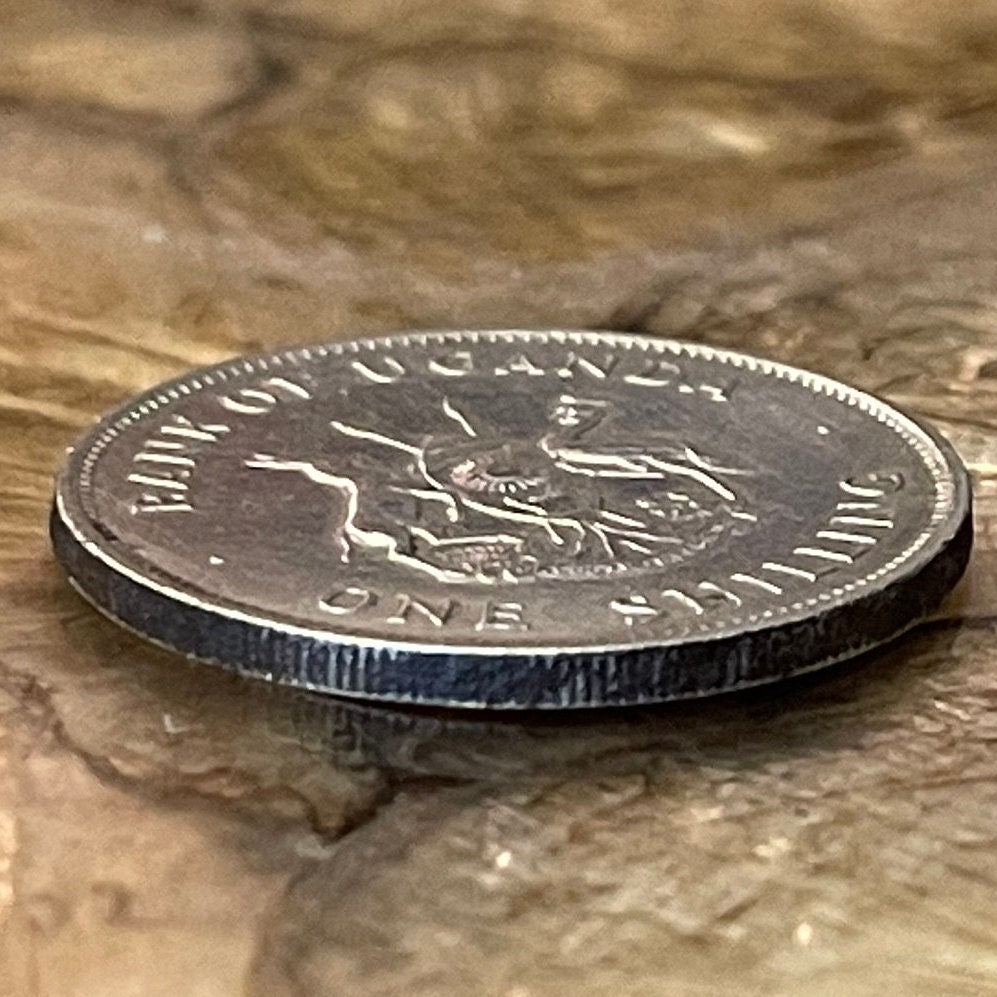 Mountains of the Moon & Crested Crane 1 Shilling Uganda Authentic Coin Money for Jewelry (Rwenzori Mountains) (Nile) (Grateful Dead)