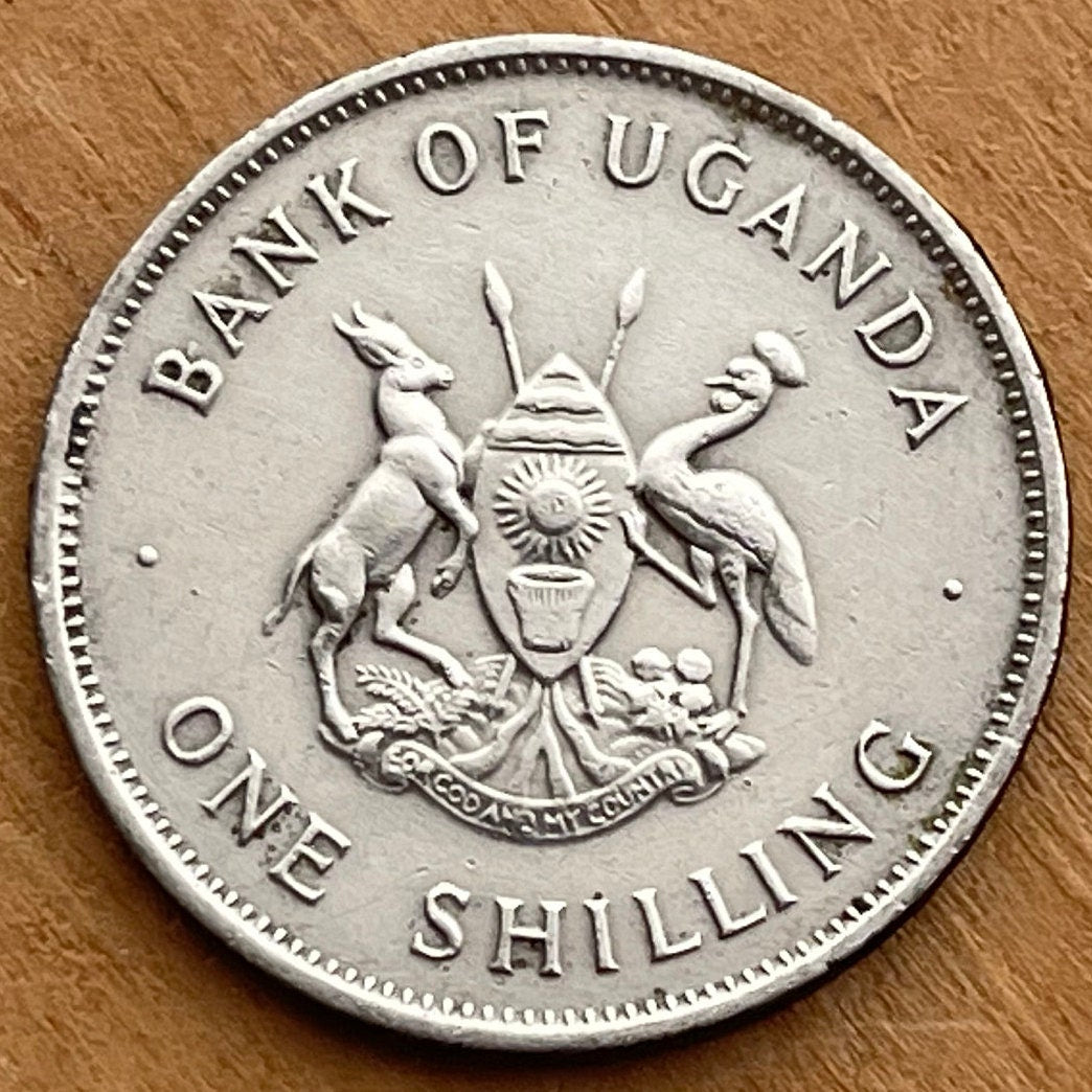 Mountains of the Moon & Crested Crane 1 Shilling Uganda Authentic Coin Money for Jewelry (Rwenzori Mountains) (Nile) (Grateful Dead)