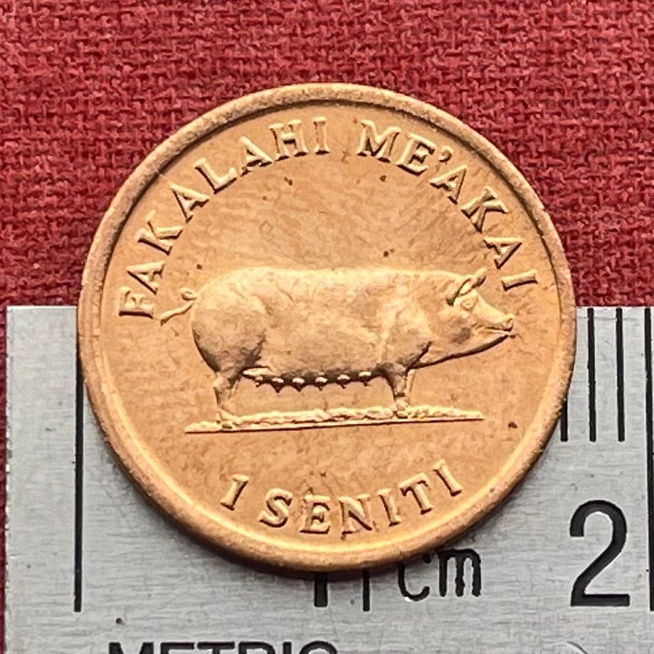 Sow Pig & Ear of Corn 1 Seniti Tonga Authentic Coin Charm for Jewelry and Craft Making (Grow More Food) Fertility Penny (Bacon Ham Pork)