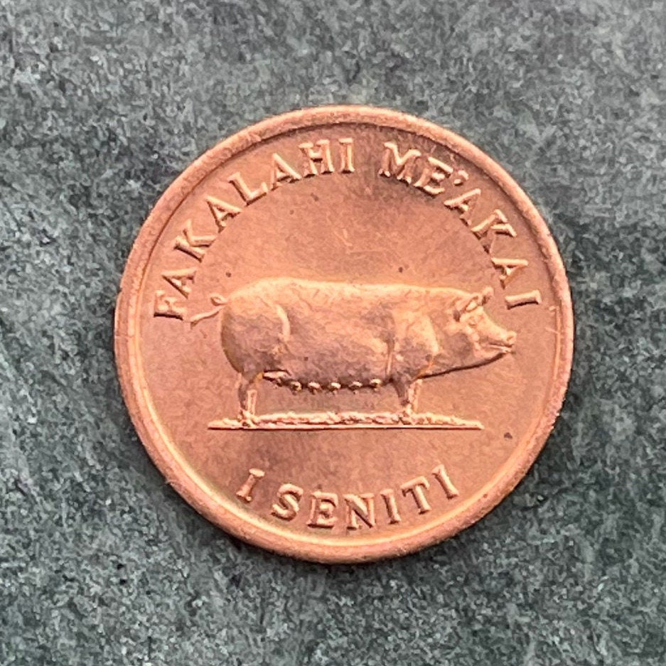 Sow Pig & Ear of Corn 1 Seniti Tonga Authentic Coin Charm for Jewelry and Craft Making (Grow More Food) Fertility Penny (Bacon Ham Pork)