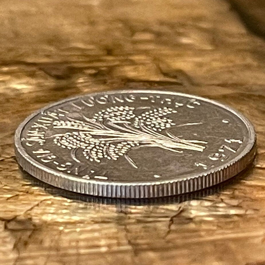 Rice Stalks 1 Dong Vietnam Authentic Coin Money for Jewelry and Craft Making (South Vietnam) (1971)