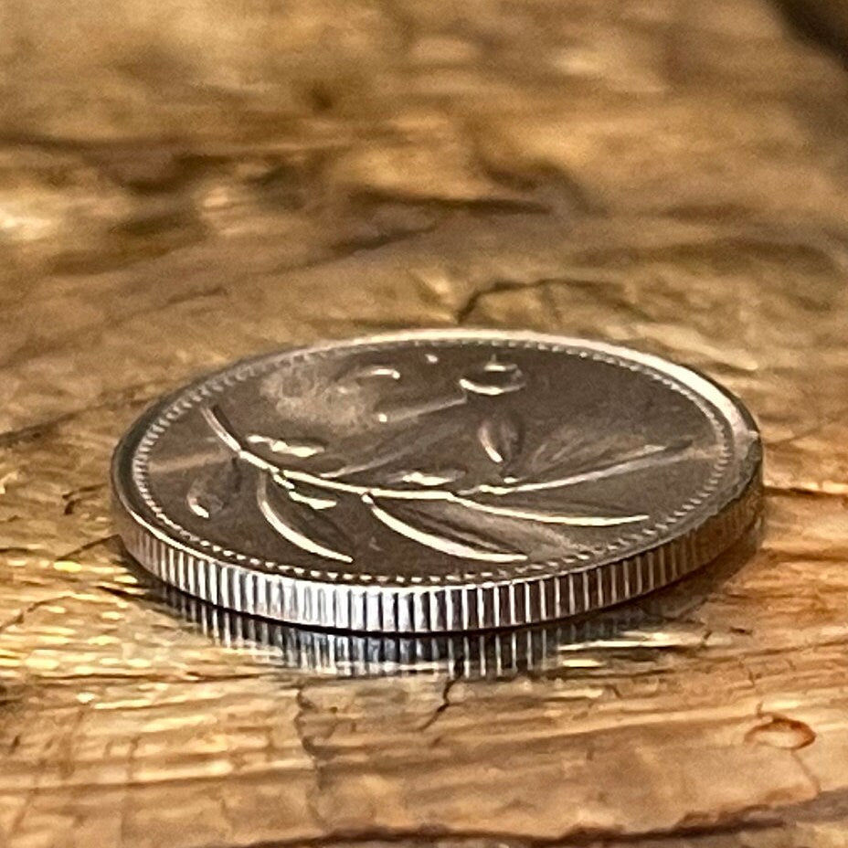 Olive Branch 2 Cents Malta Authentic Coin Money for Jewelry and Craft Making (Peace) (Victory)