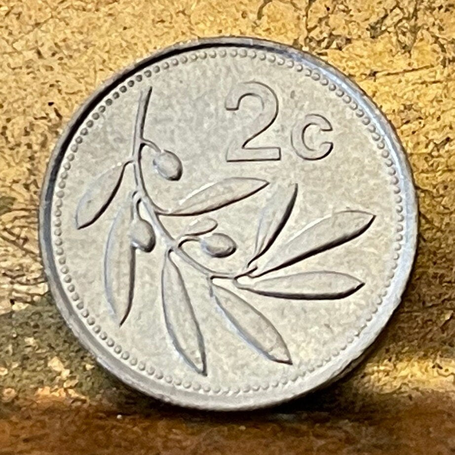 Olive Branch 2 Cents Malta Authentic Coin Money for Jewelry and Craft Making (Peace) (Victory)
